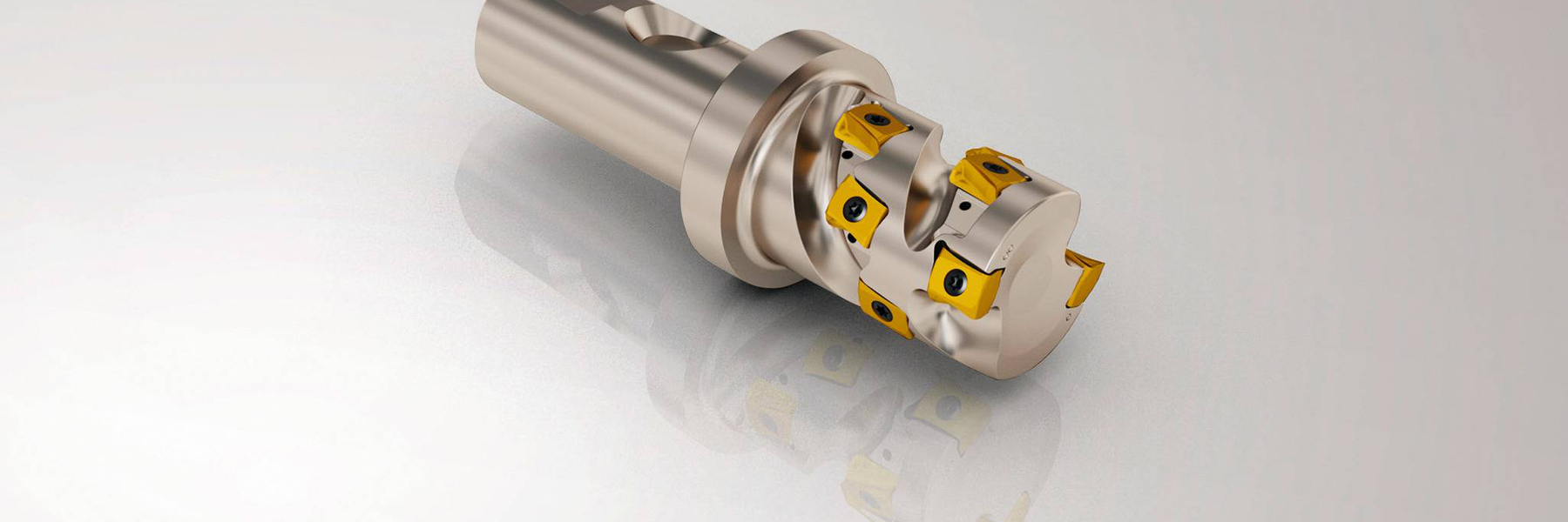 0gfbe8bfgd00f399pe3ikrup5m