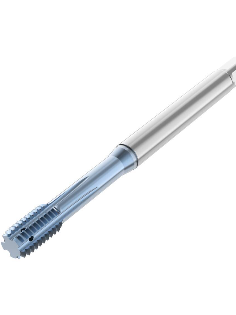 1ju576iu115gp5skhjbfgb893f