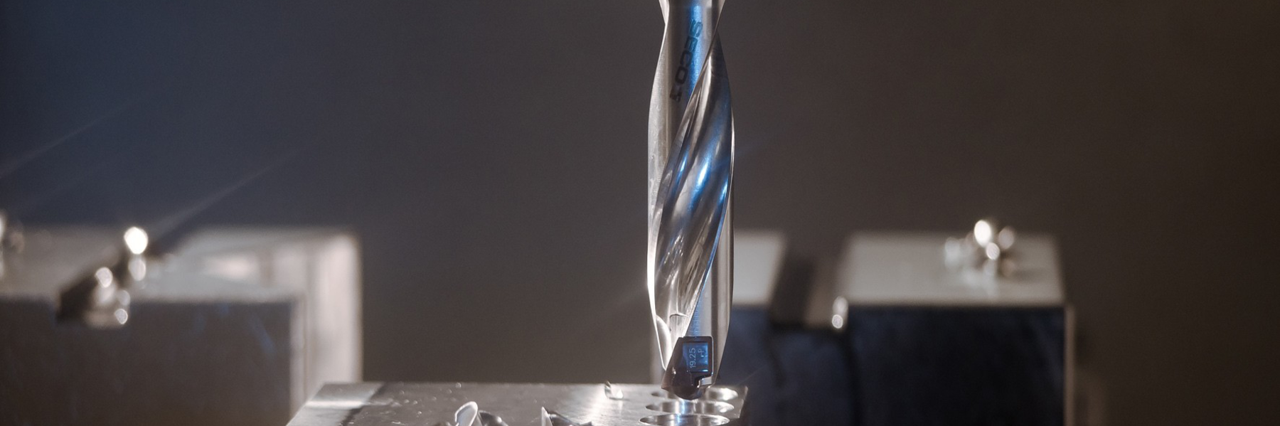 8m87sldopt5vf19ko00e4dh55g