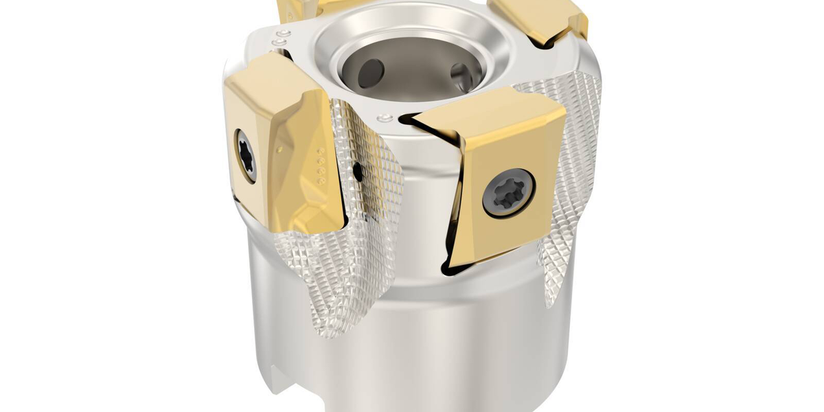 bdgucfeeph5cr3nbsgvi8g0c0u