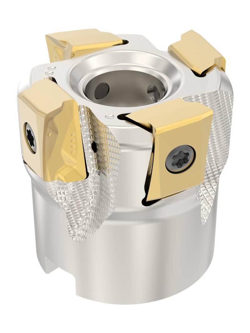 bdgucfeeph5cr3nbsgvi8g0c0u