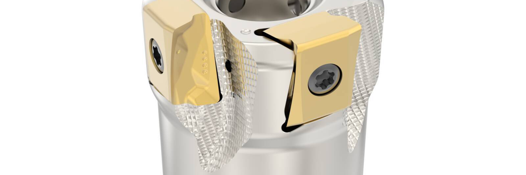 bdgucfeeph5cr3nbsgvi8g0c0u