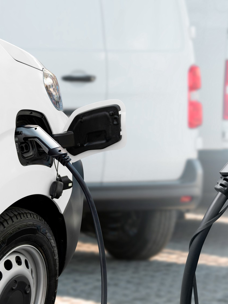 em7dupp4197ph07gqp3k5kuo2i