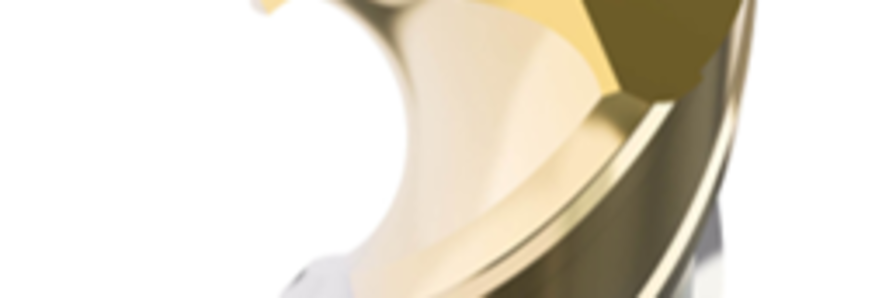 Punta extra lunga in metallo duro integrale