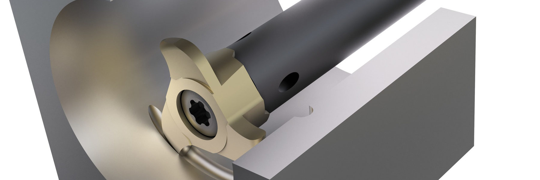 ffnjgl3mnt50rfpab87t5dt80p