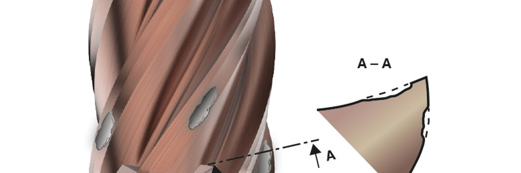 整体硬质合金立铣刀上由积屑瘤造成的磨损示例