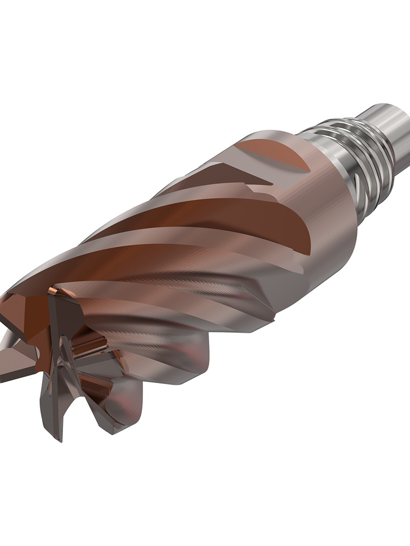 jsbo3ufdot62l1s828dogubn5d