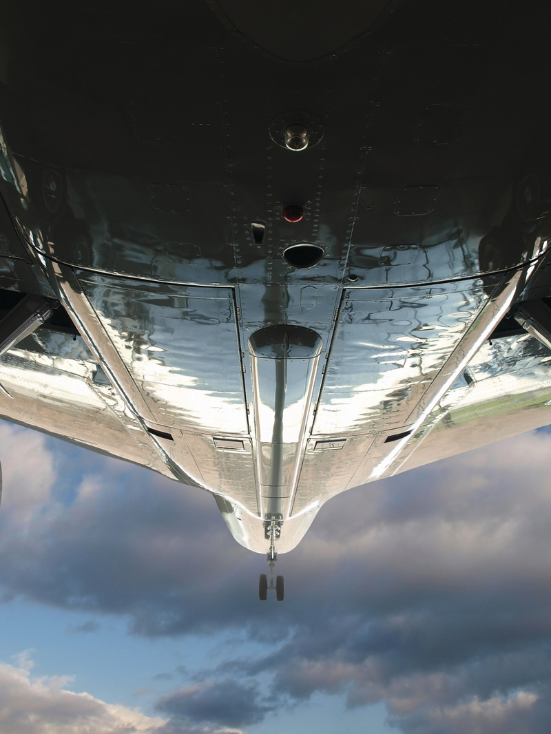 kifq1f49nl5d54m59f8fqjhn10