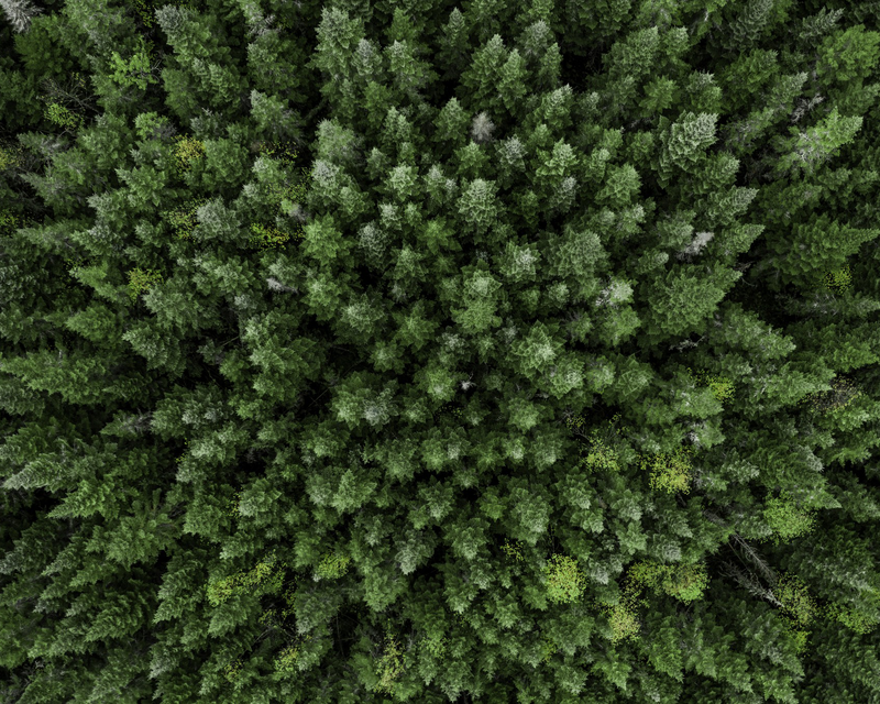 kp6p3sbaih3g954f8tf5099j7a