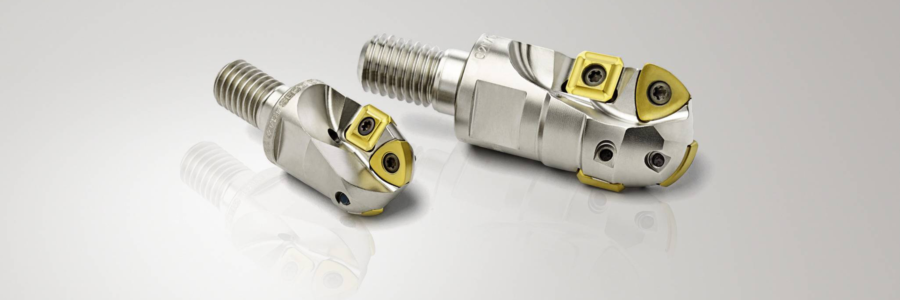 nv85ojaik91kp249riiunqtn0r