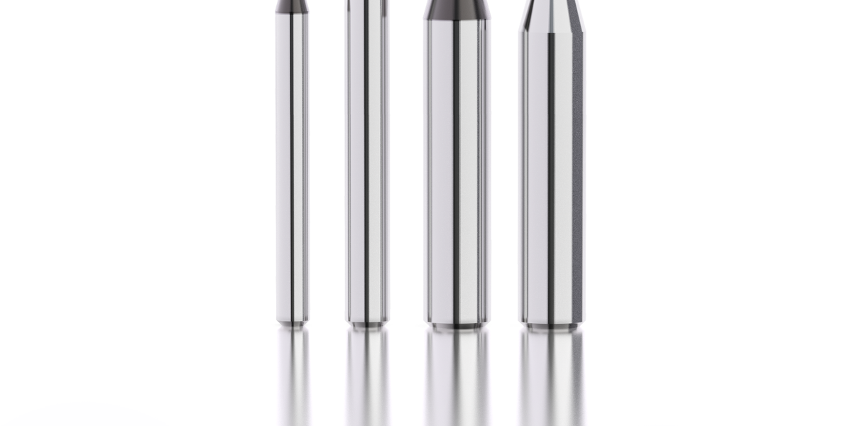 qqfskb8s9l10n00j56laqnhs23