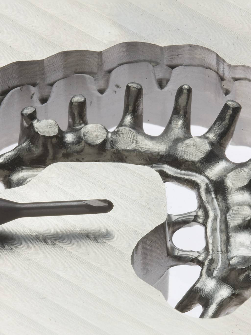 r33g1q8kf126t7qbhfcfcvm02i