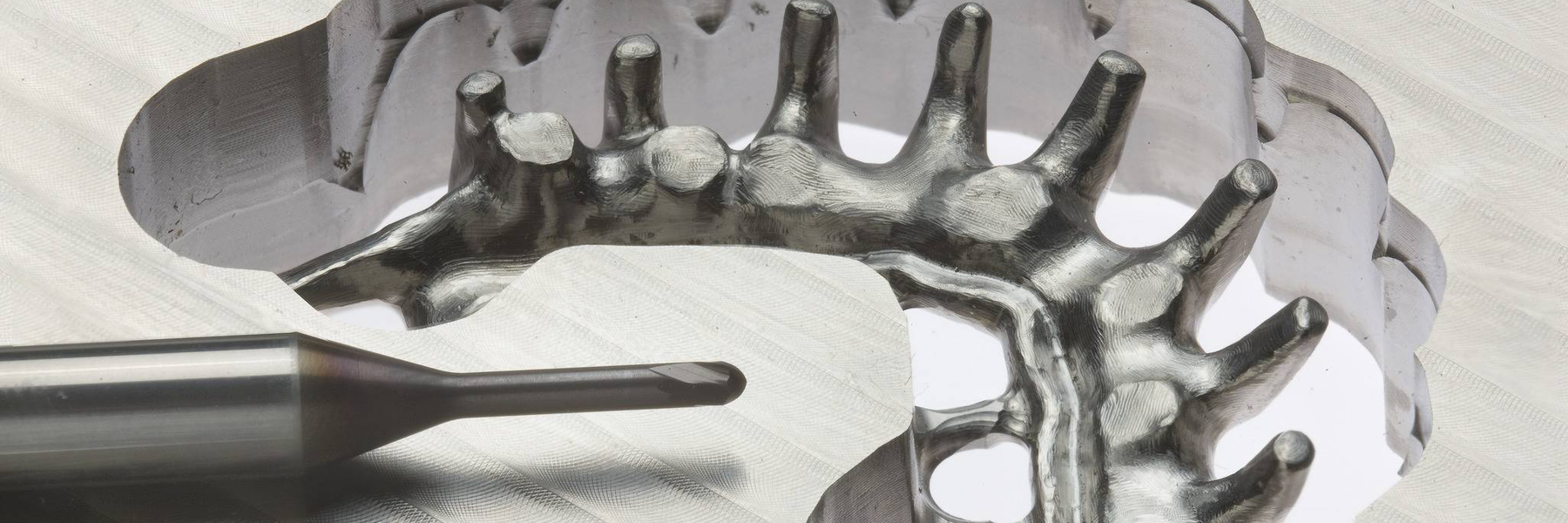 r33g1q8kf126t7qbhfcfcvm02i