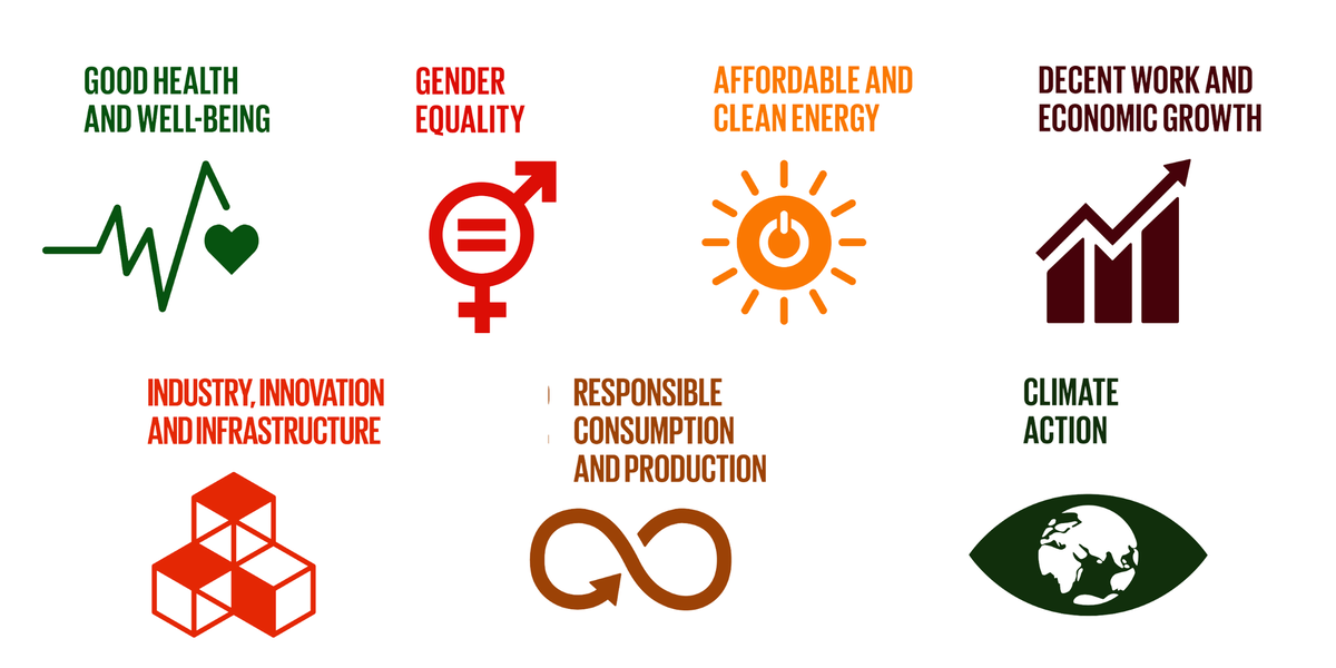 Sustainable Development Goals adopted by the United Nations selected by Seco
