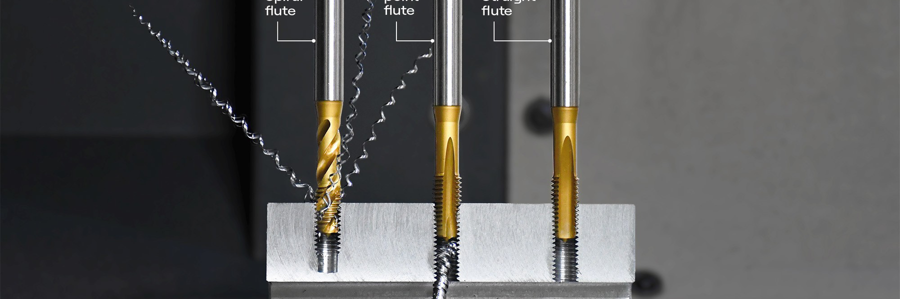 Tap types and chips Infographics