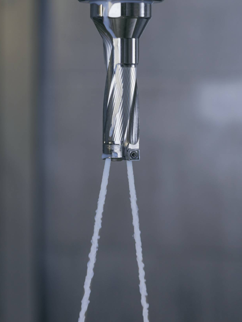 u4qgvcb4p16t9c7rqlq76bsu45